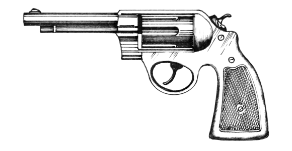 Revolver by Pearson Scott Foresman